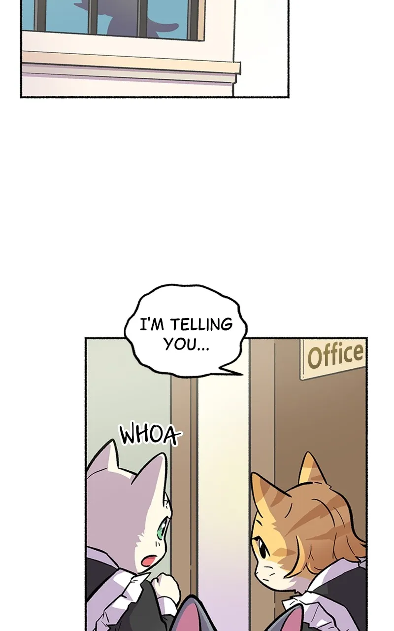 Read Mr. Tiger