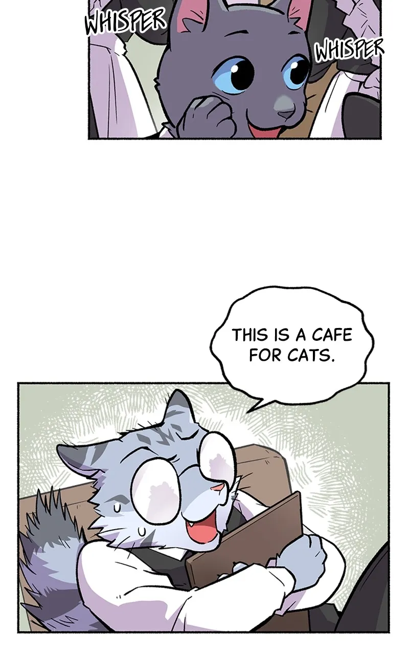 Read Mr. Tiger