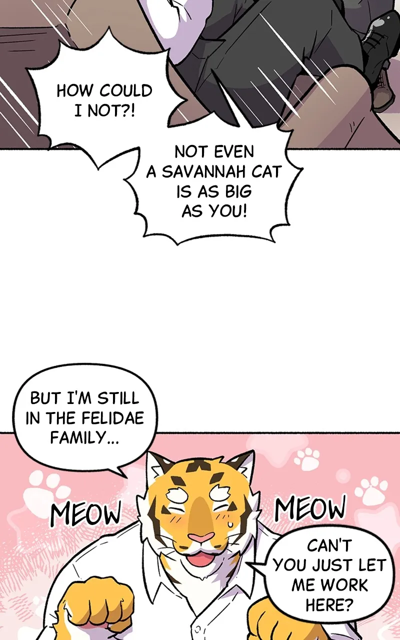 Read Mr. Tiger