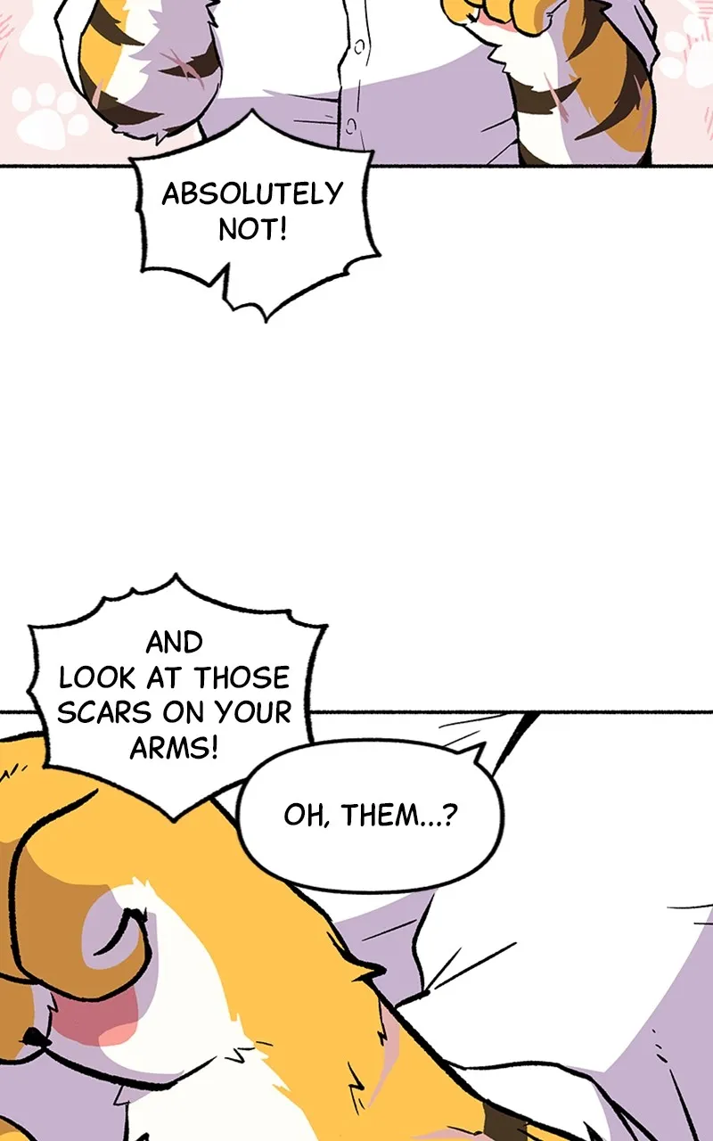 Read Mr. Tiger