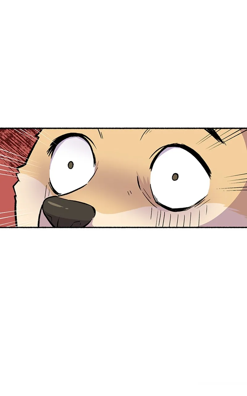 Read Mr. Tiger