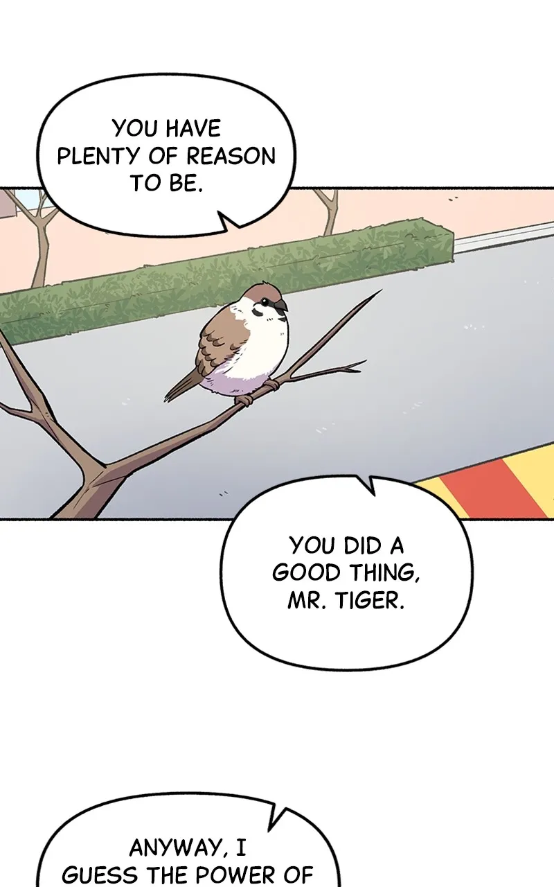 Read Mr. Tiger