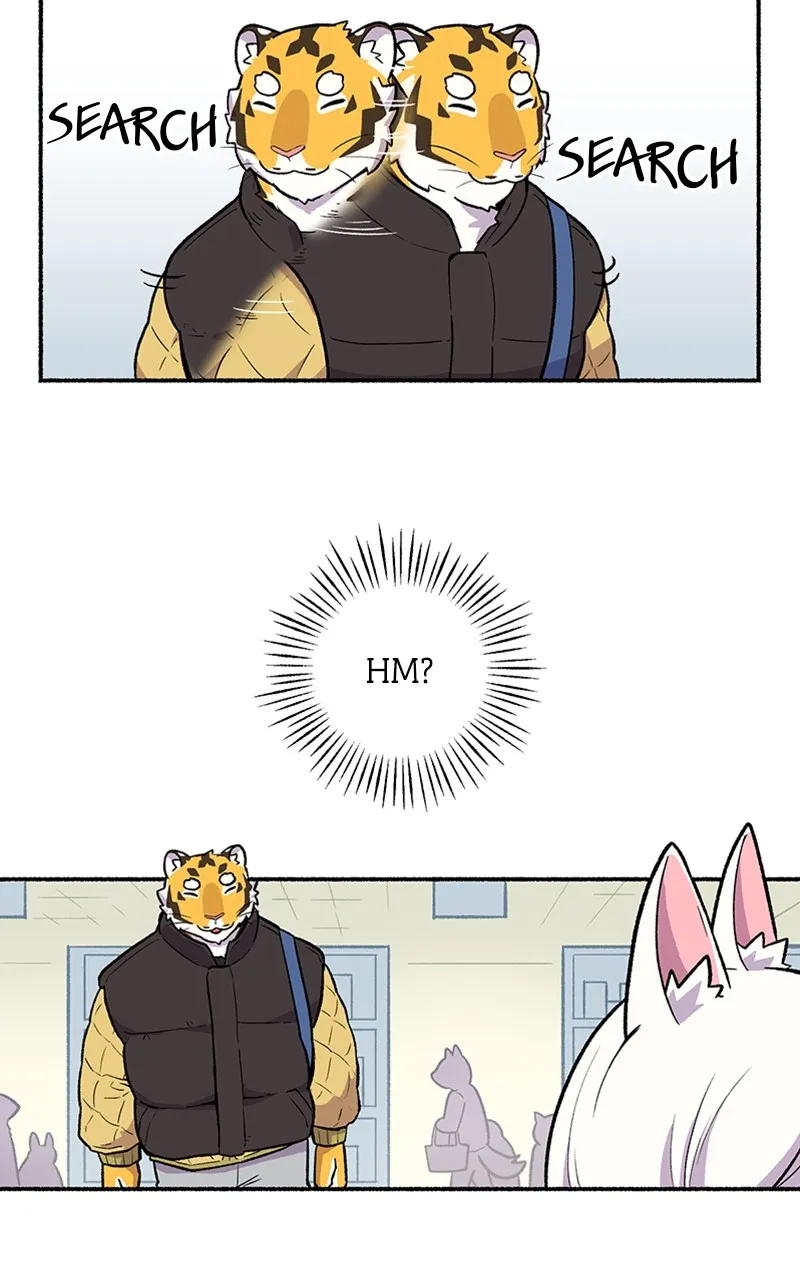 Read Mr. Tiger