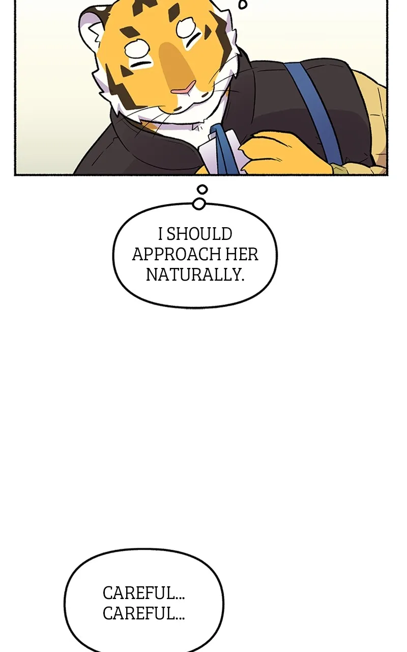 Read Mr. Tiger