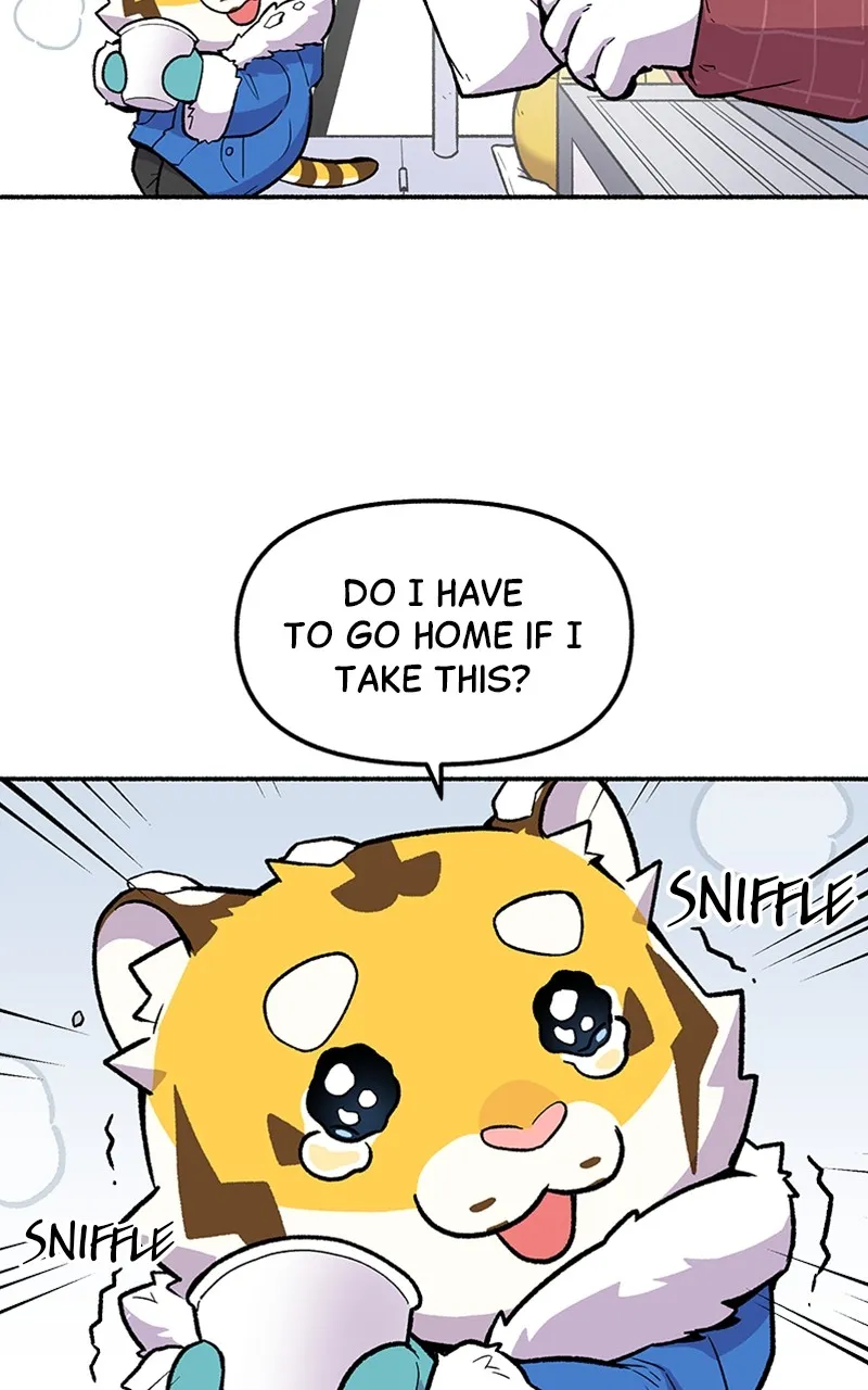 Read Mr. Tiger