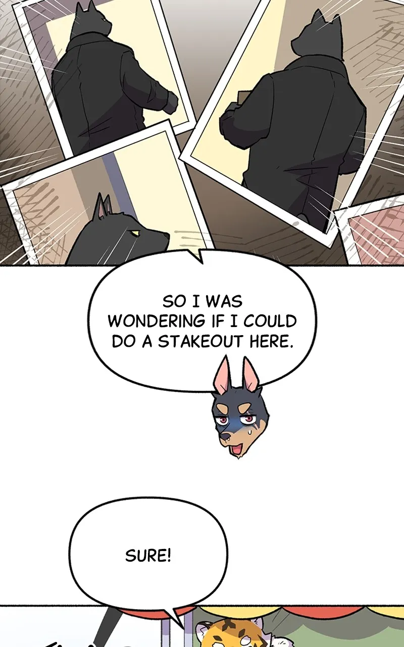 Read Mr. Tiger