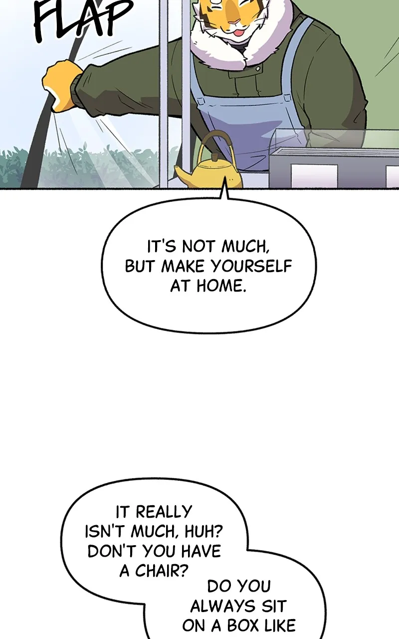 Read Mr. Tiger