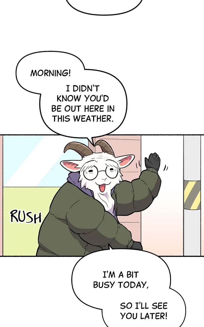 Read Mr. Tiger