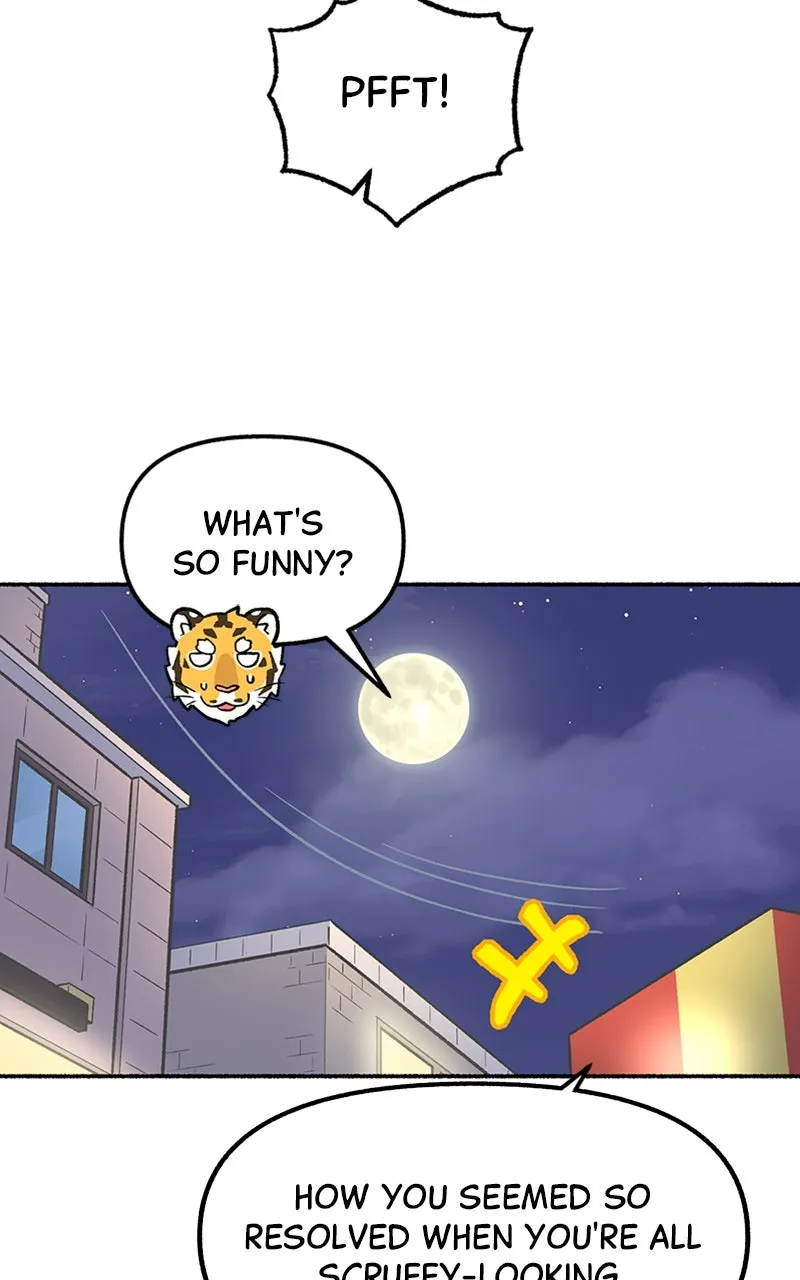 Read Mr. Tiger