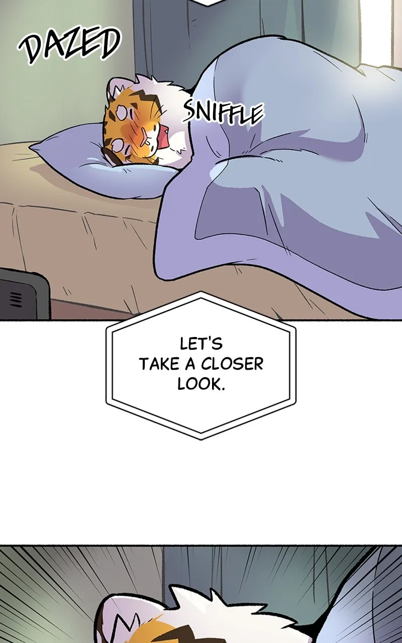 Read Mr. Tiger