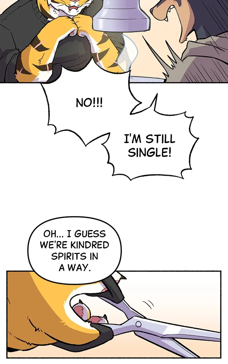 Read Mr. Tiger