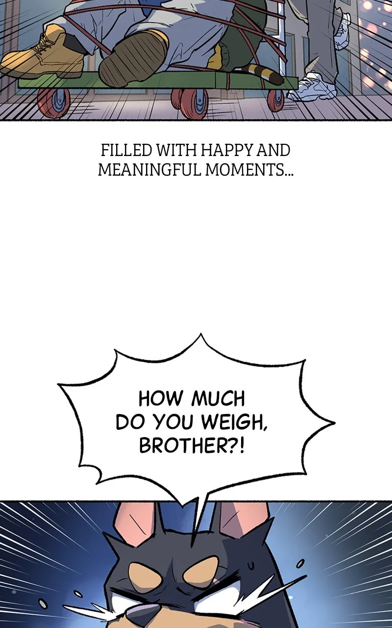 Read Mr. Tiger