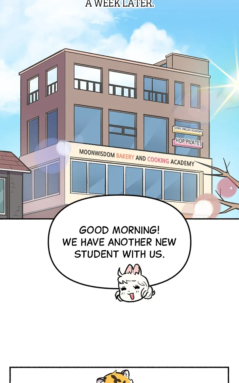 Read Mr. Tiger