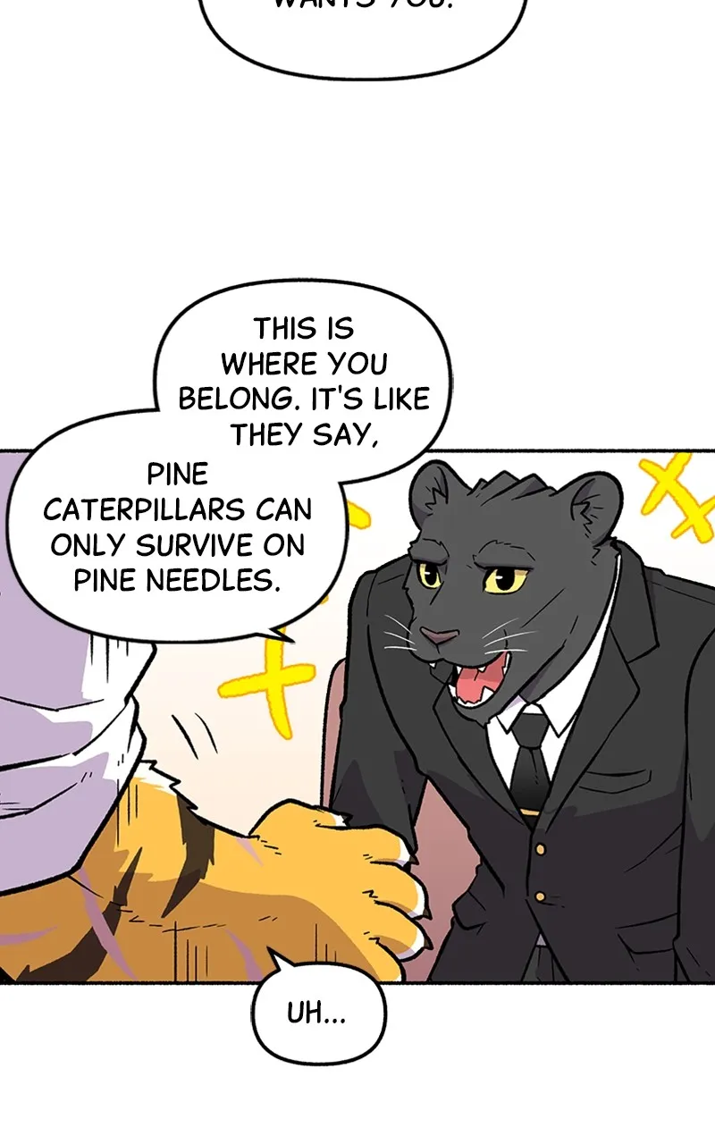 Read Mr. Tiger