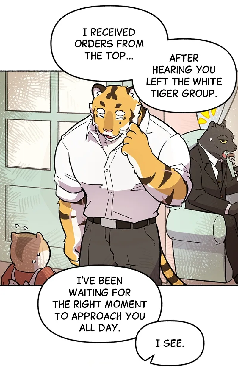 Read Mr. Tiger