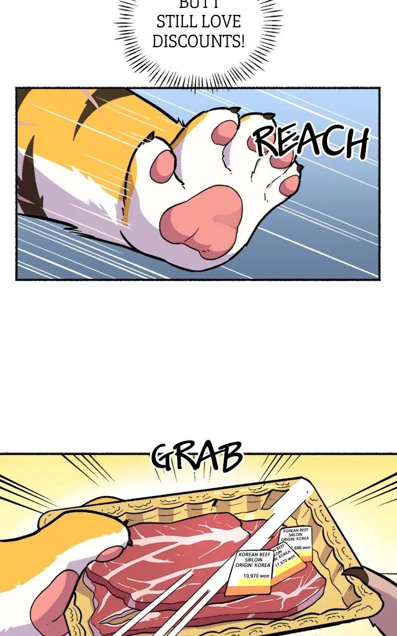 Read Mr. Tiger