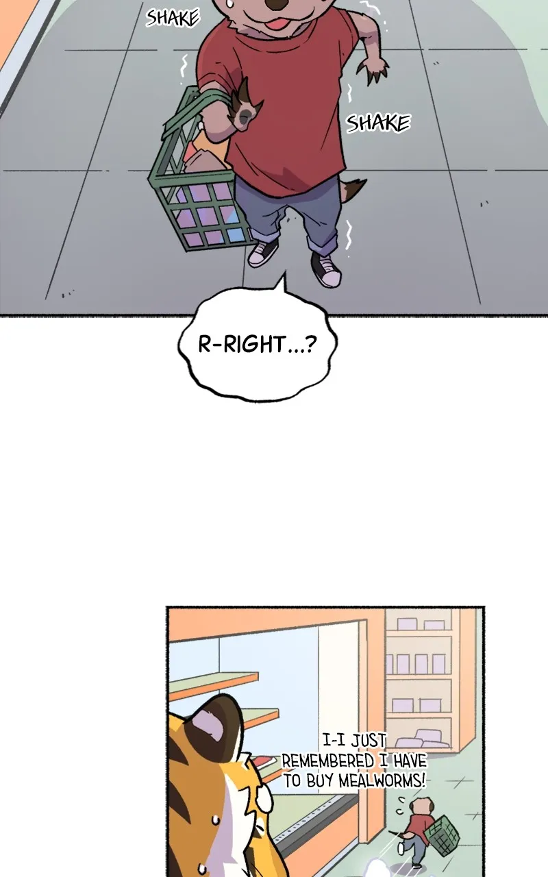 Read Mr. Tiger
