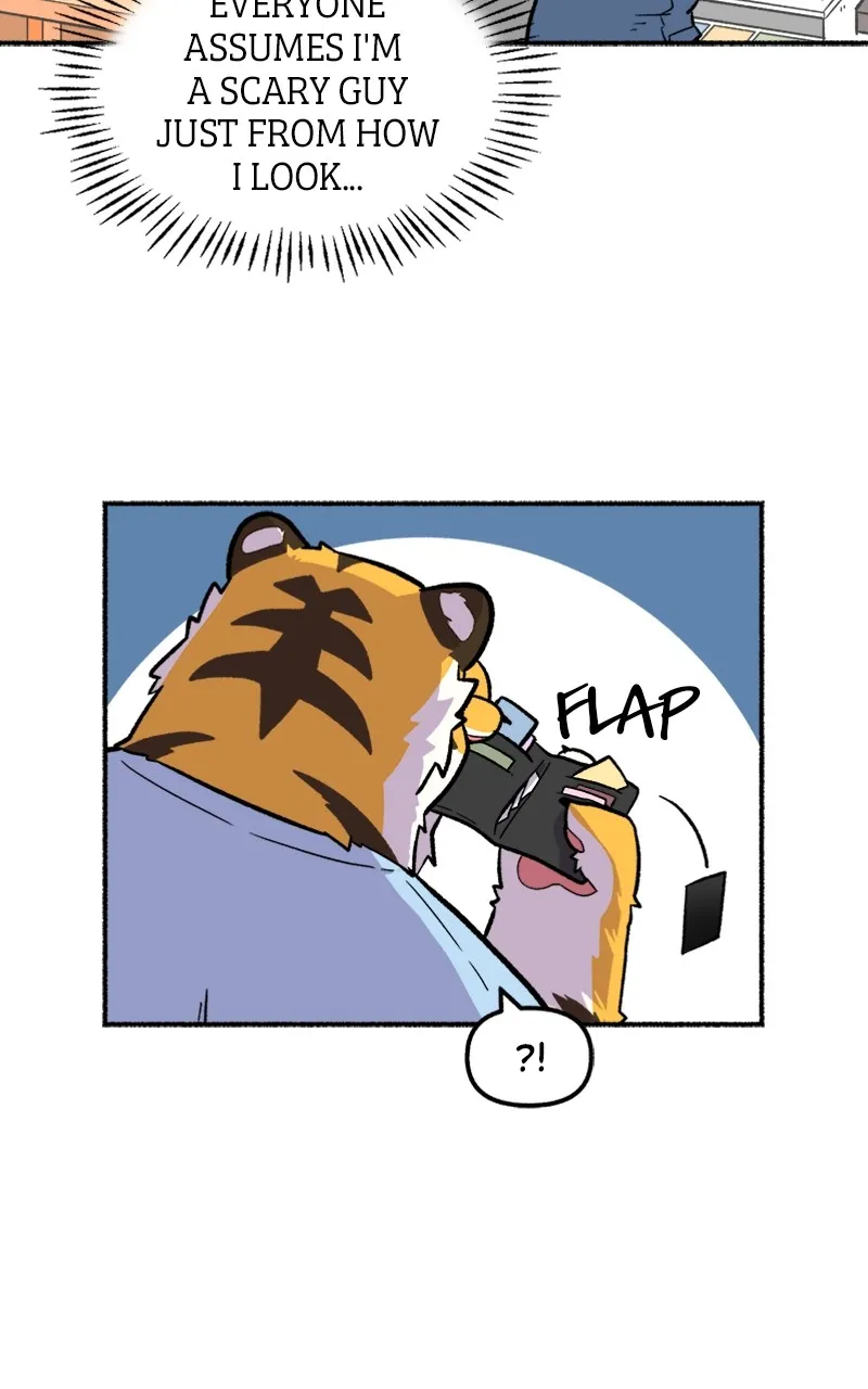 Read Mr. Tiger