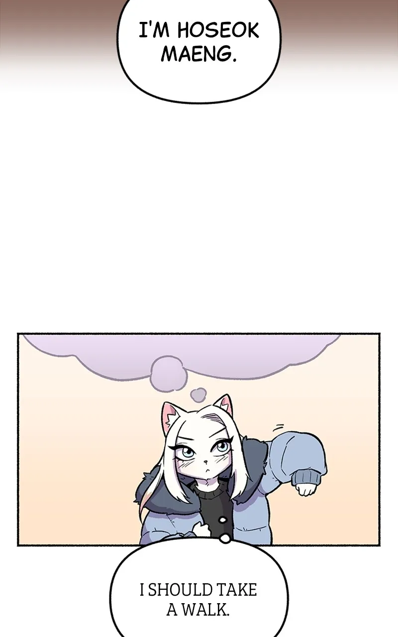 Read Mr. Tiger
