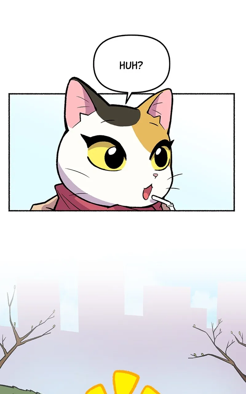 Read Mr. Tiger