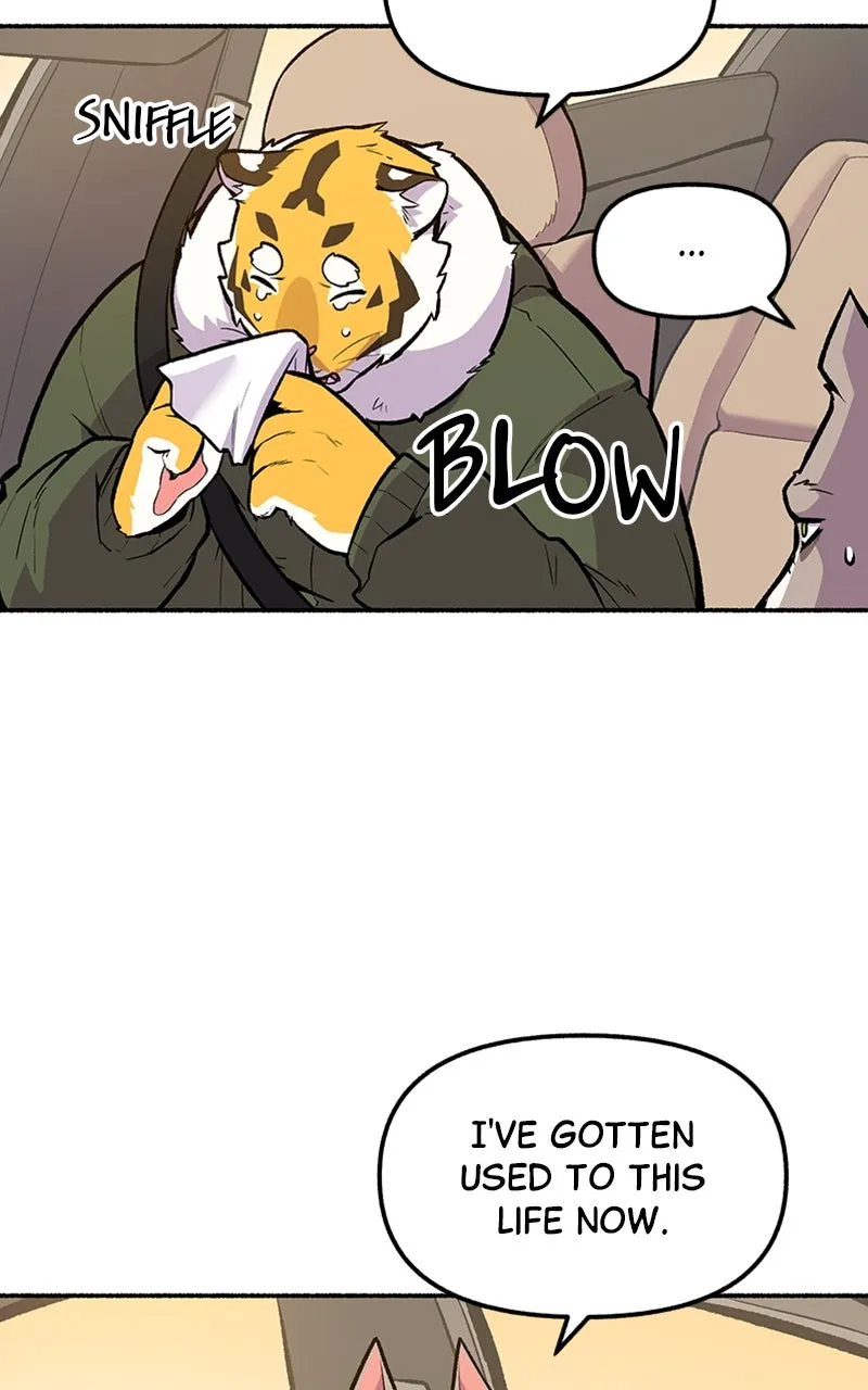 Read Mr. Tiger