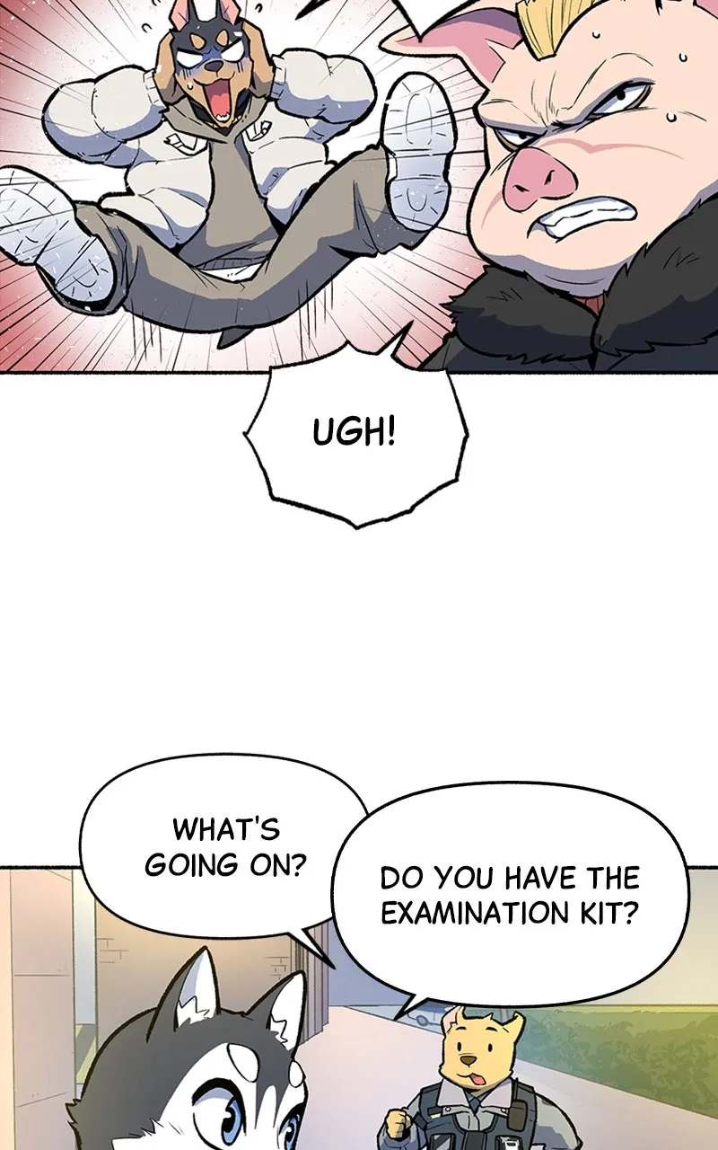 Read Mr. Tiger