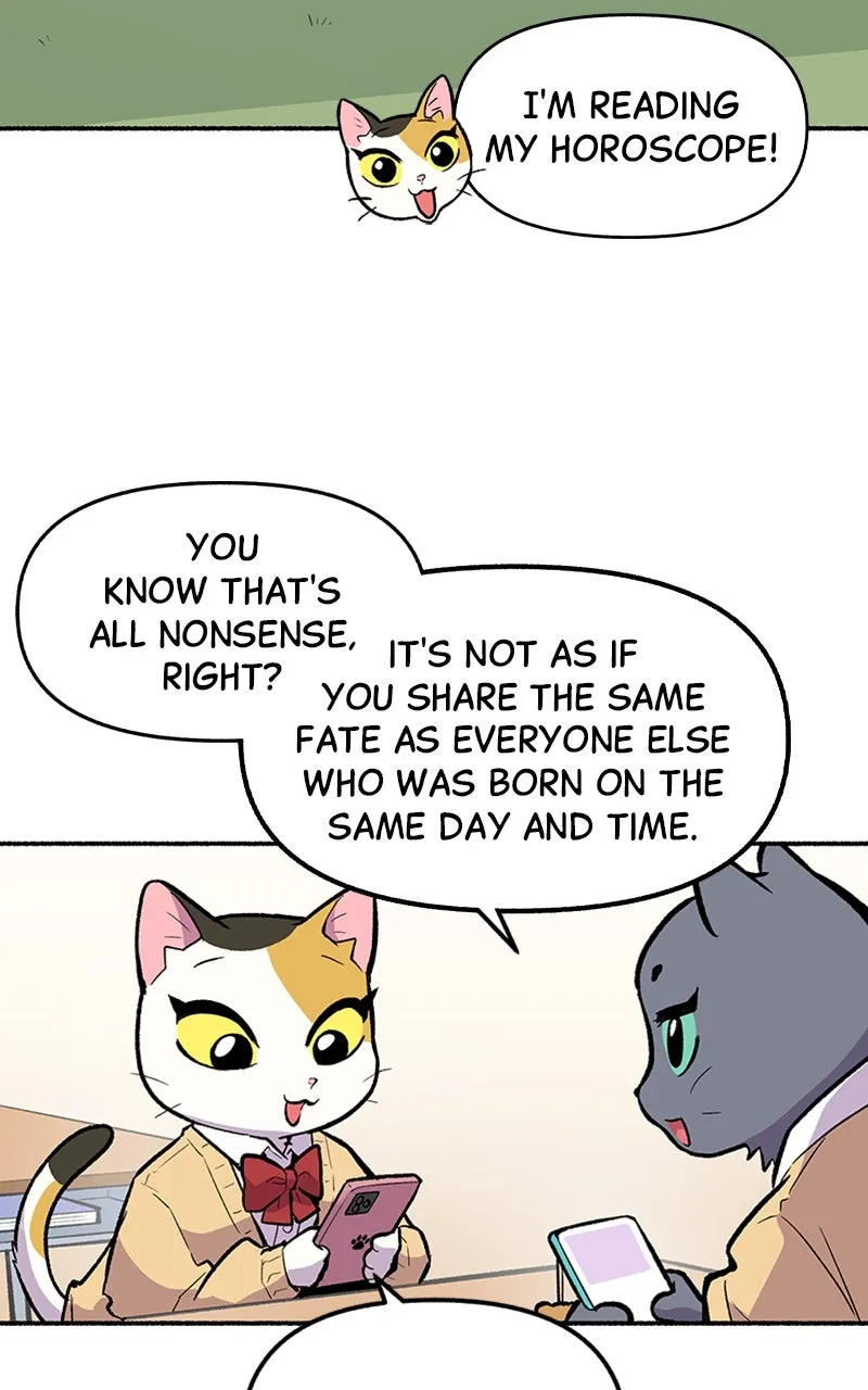 Read Mr. Tiger