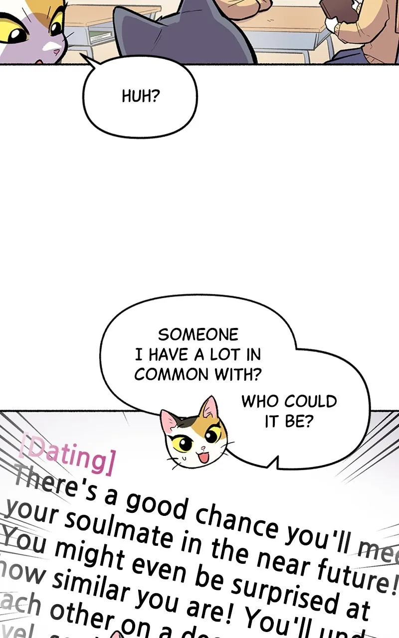 Read Mr. Tiger