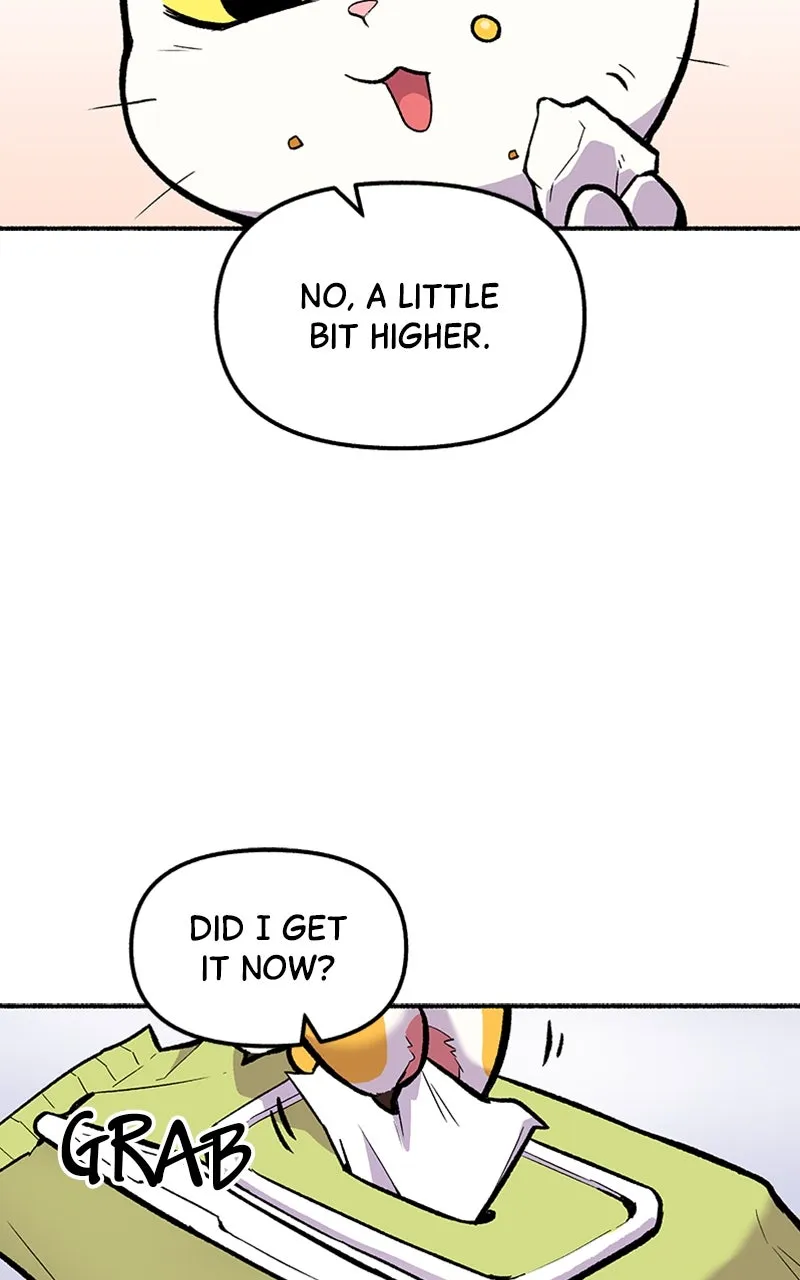Read Mr. Tiger
