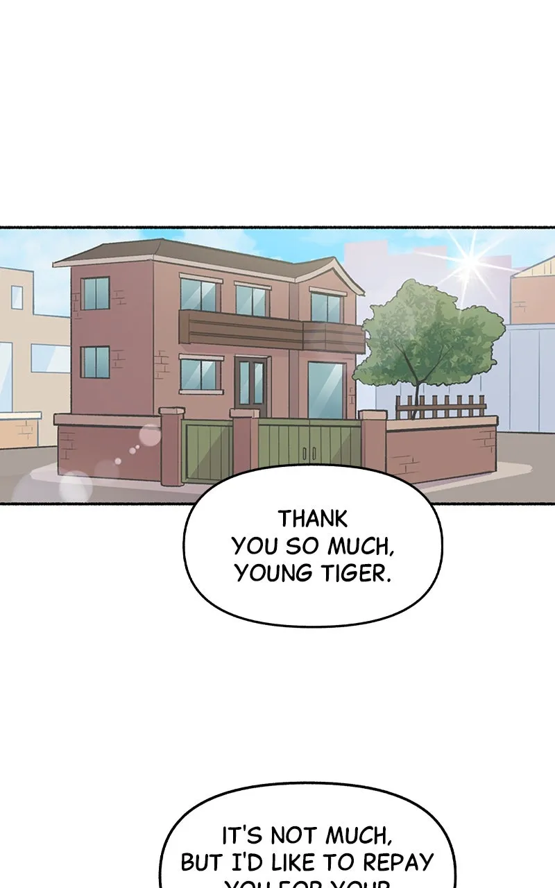Read Mr. Tiger