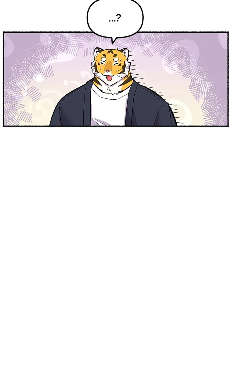 Read Mr. Tiger