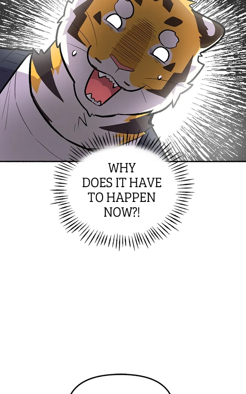 Read Mr. Tiger