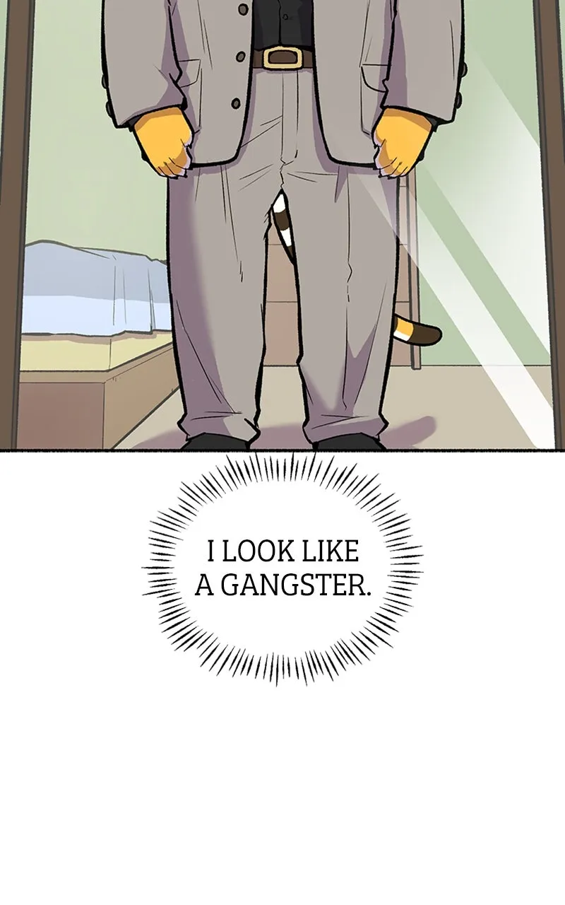 Read Mr. Tiger