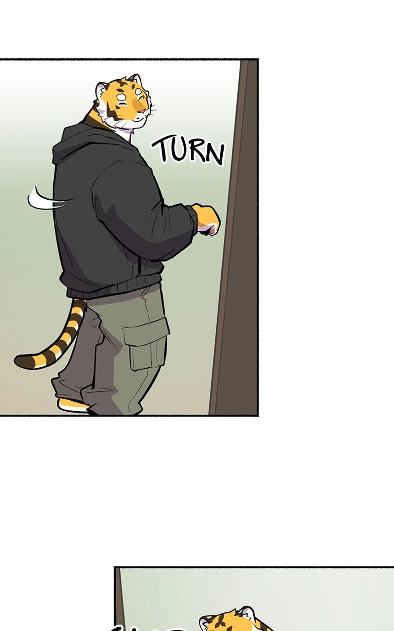Read Mr. Tiger
