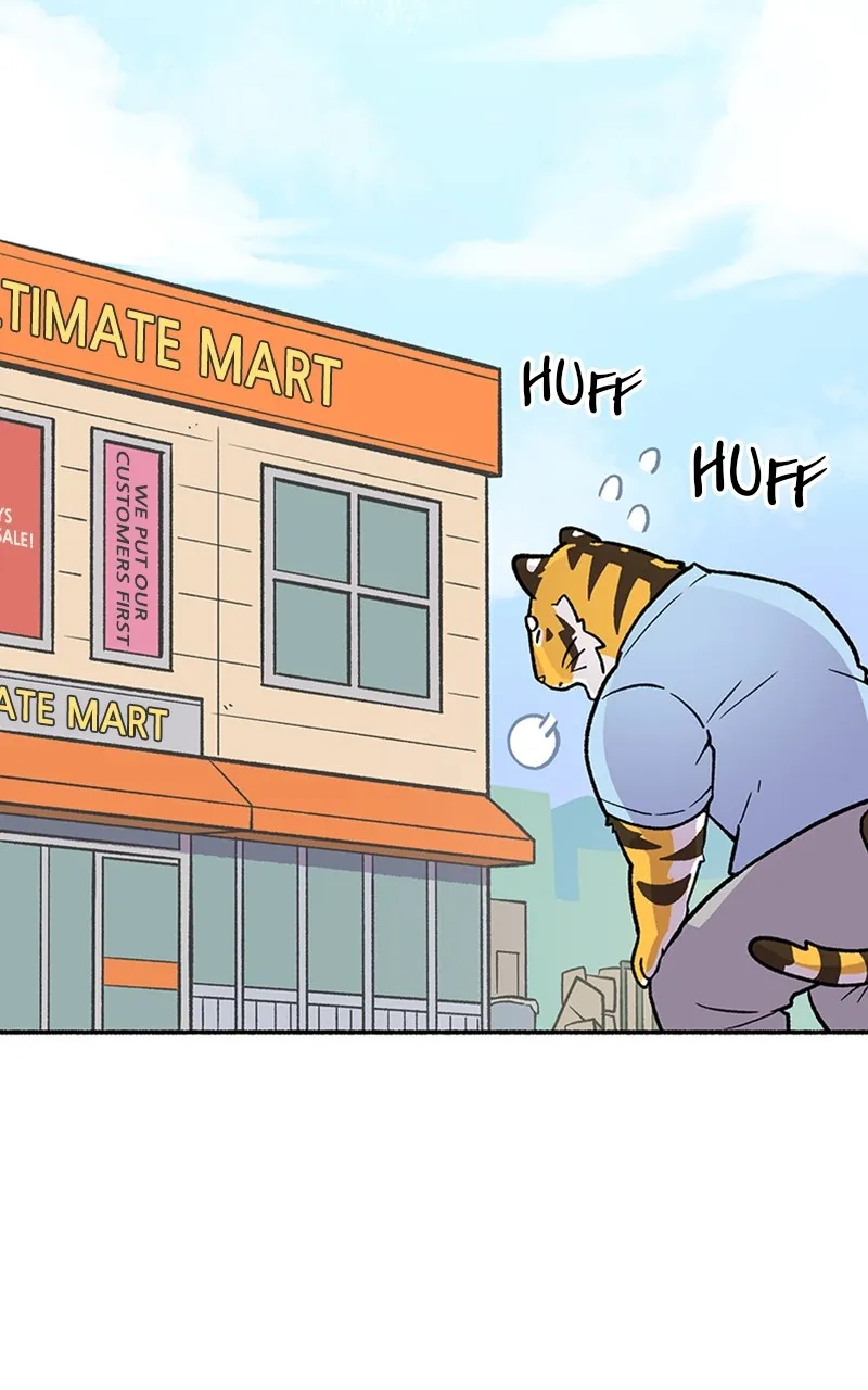 Read Mr. Tiger
