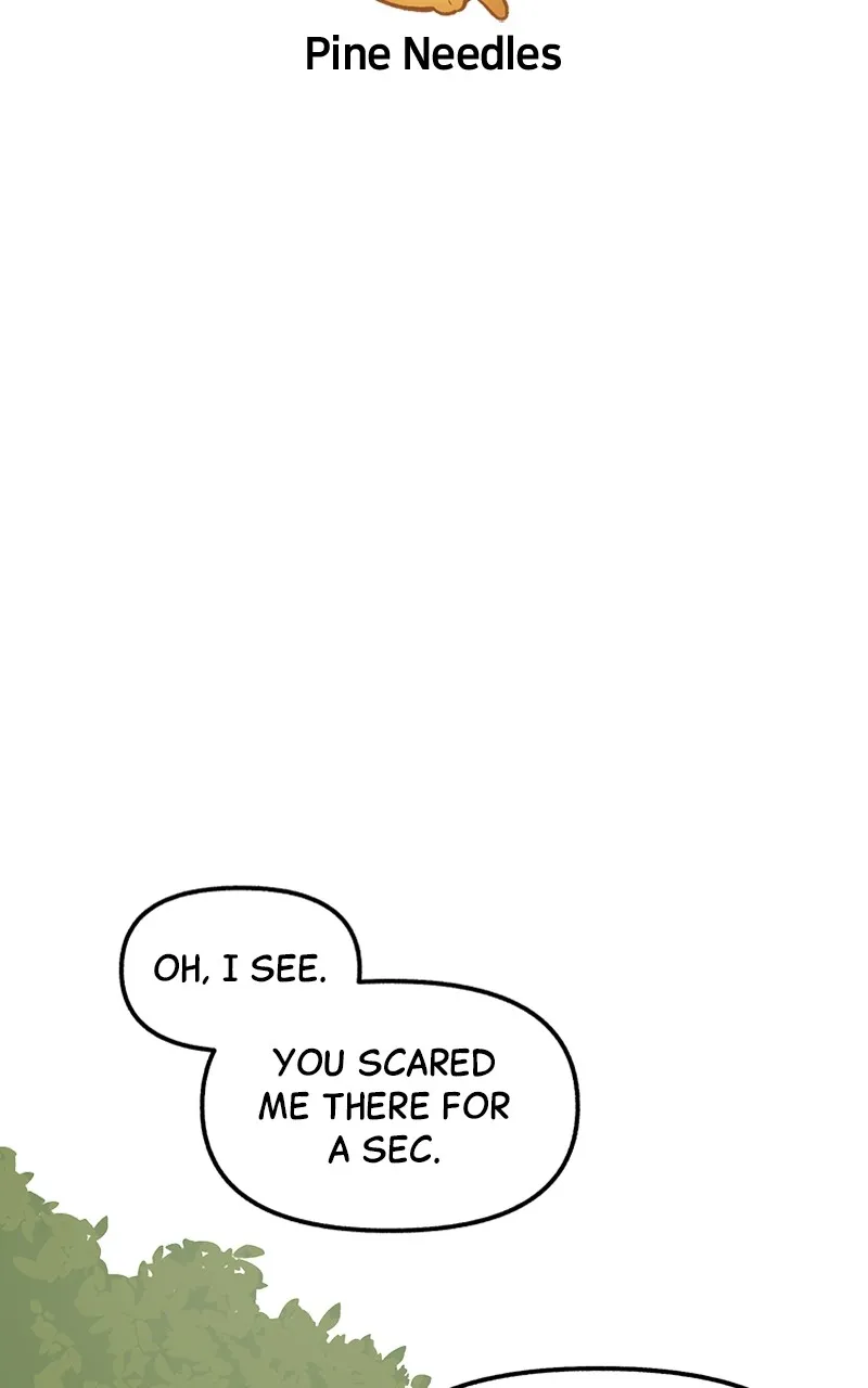 Read Mr. Tiger
