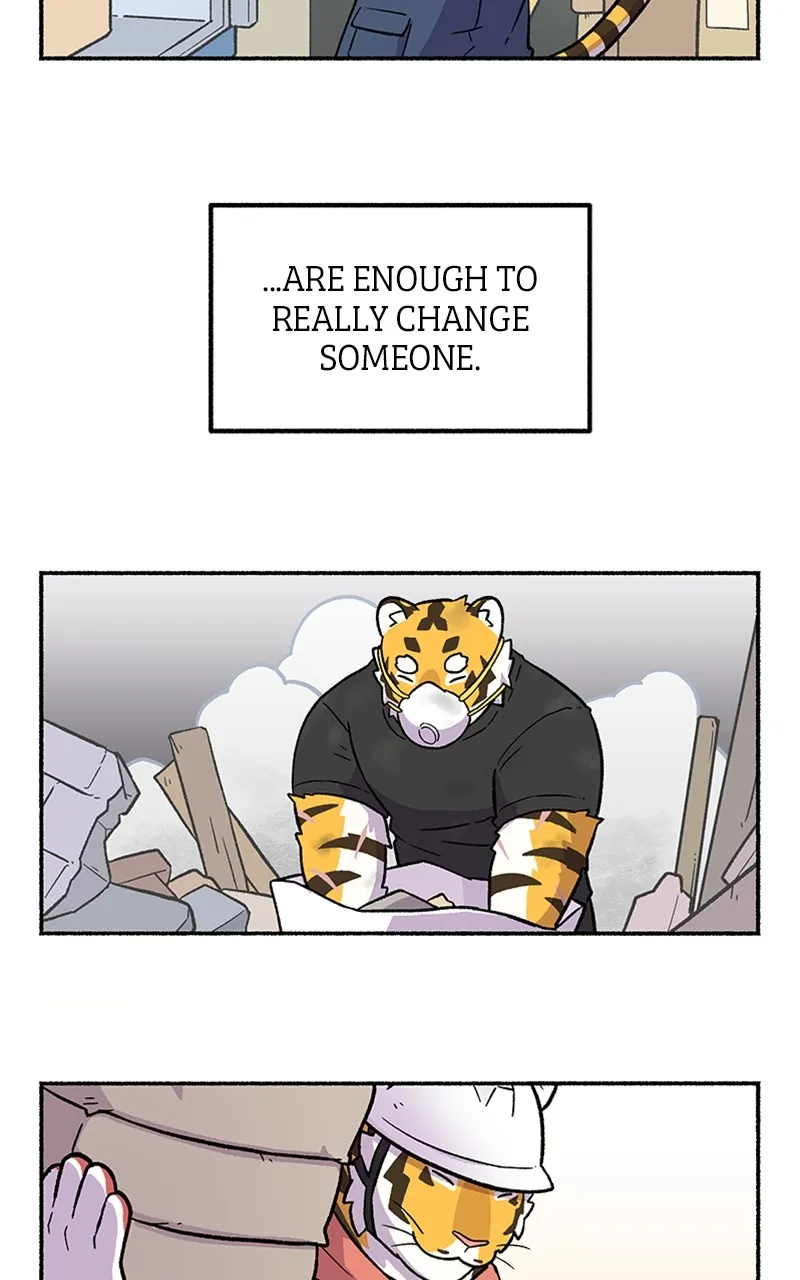 Read Mr. Tiger