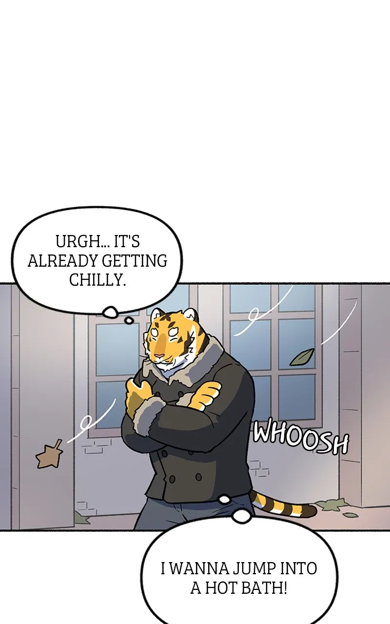 Read Mr. Tiger