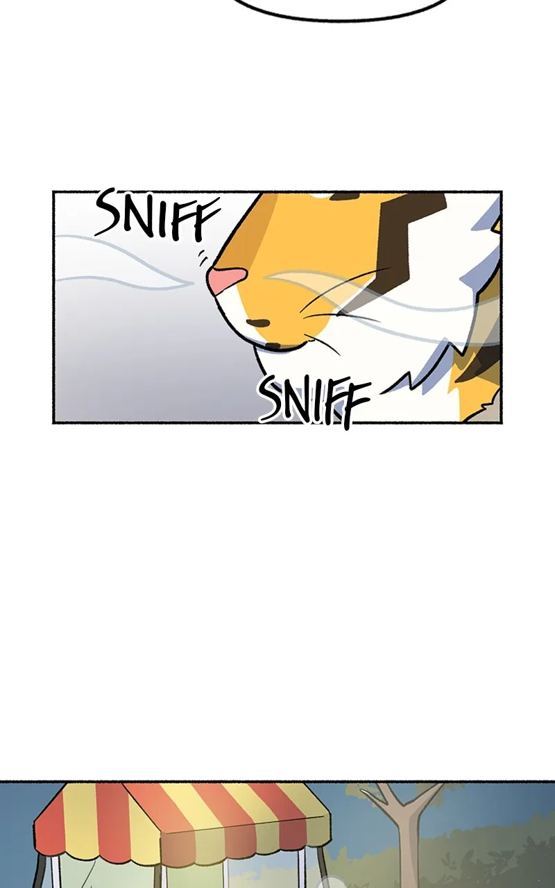 Read Mr. Tiger