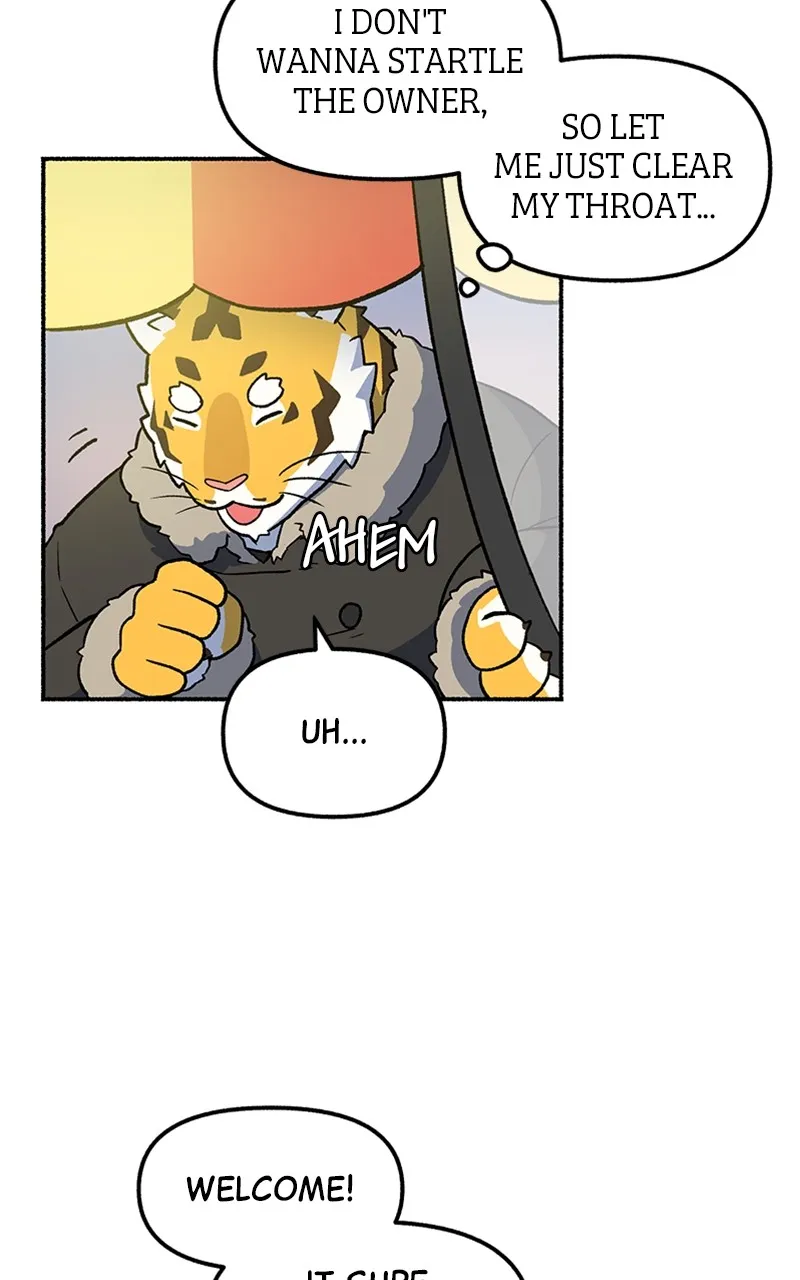 Read Mr. Tiger