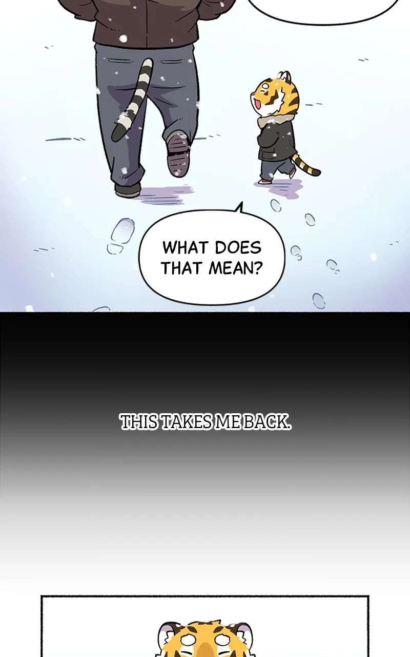 Read Mr. Tiger
