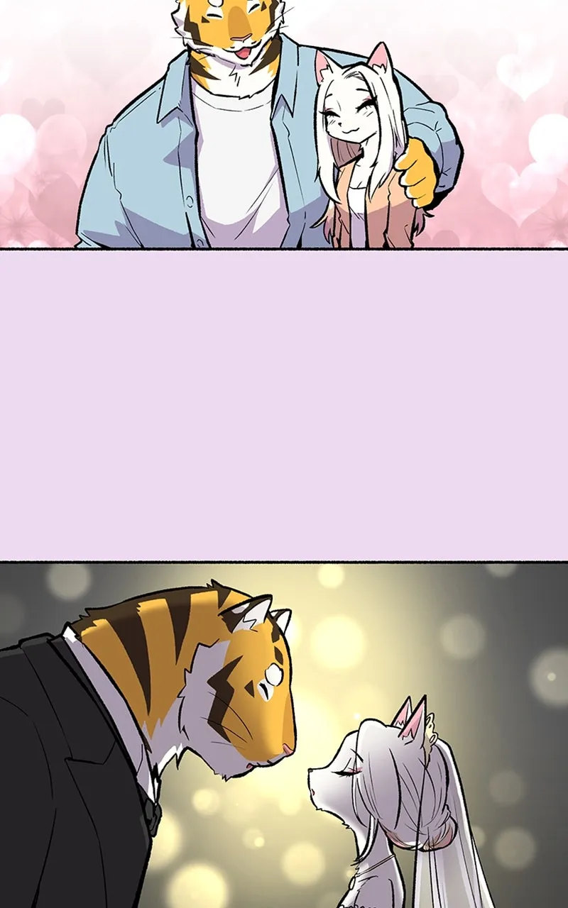 Read Mr. Tiger