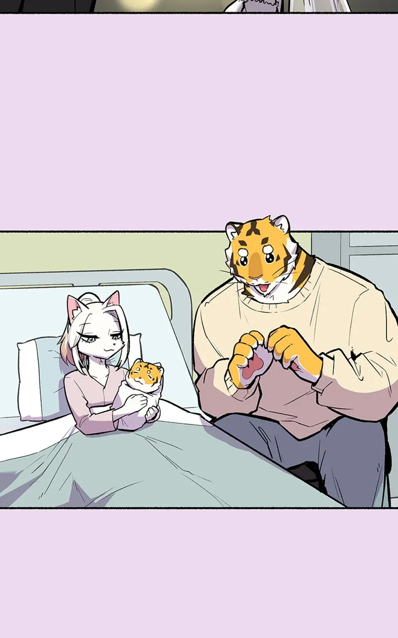 Read Mr. Tiger