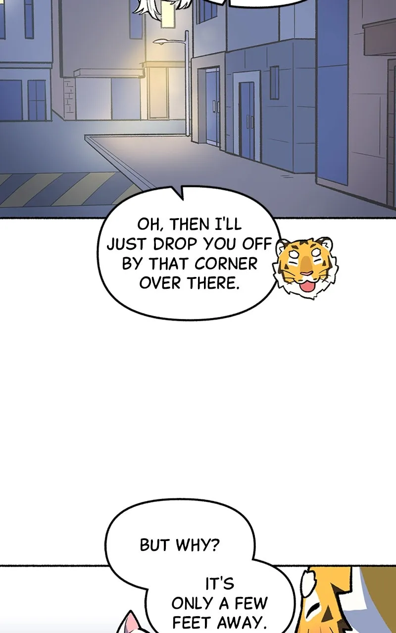 Read Mr. Tiger