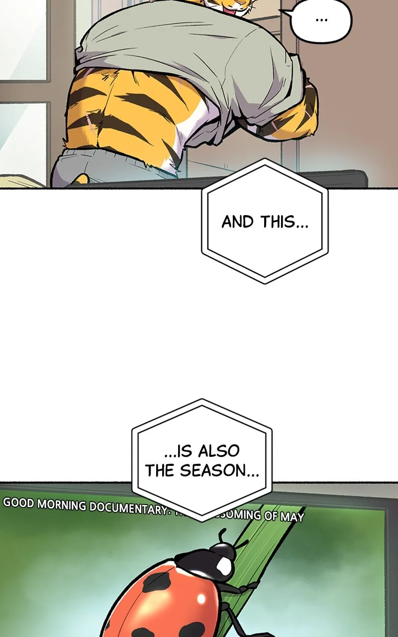 Read Mr. Tiger