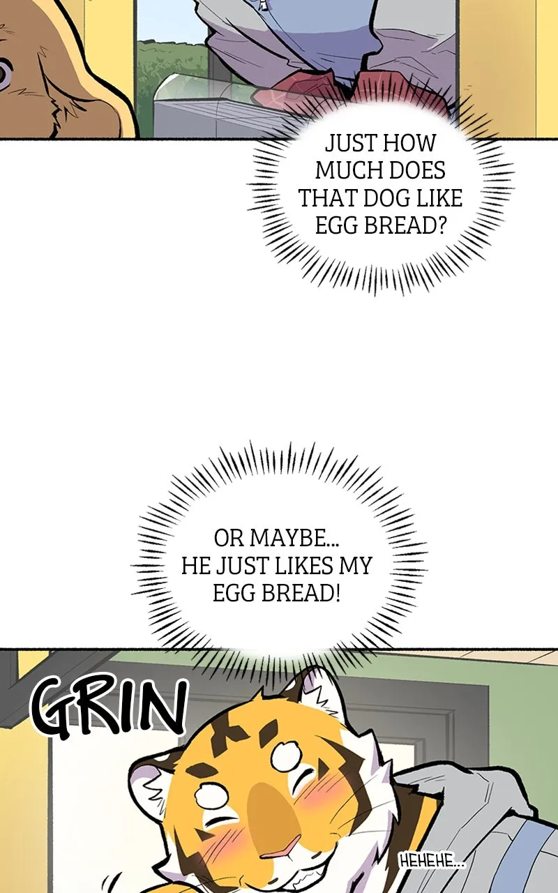 Read Mr. Tiger