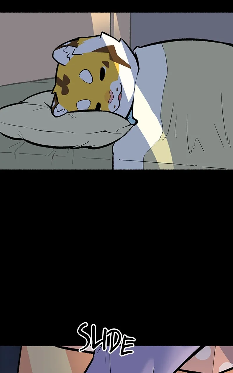 Read Mr. Tiger