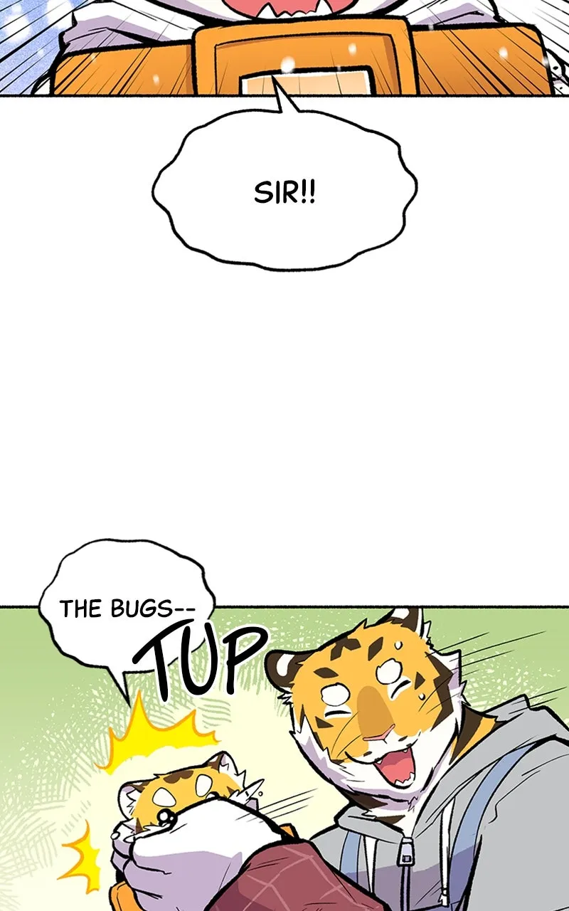 Read Mr. Tiger