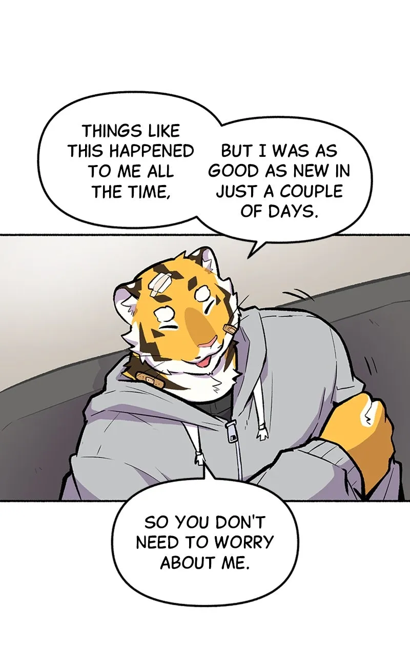 Read Mr. Tiger