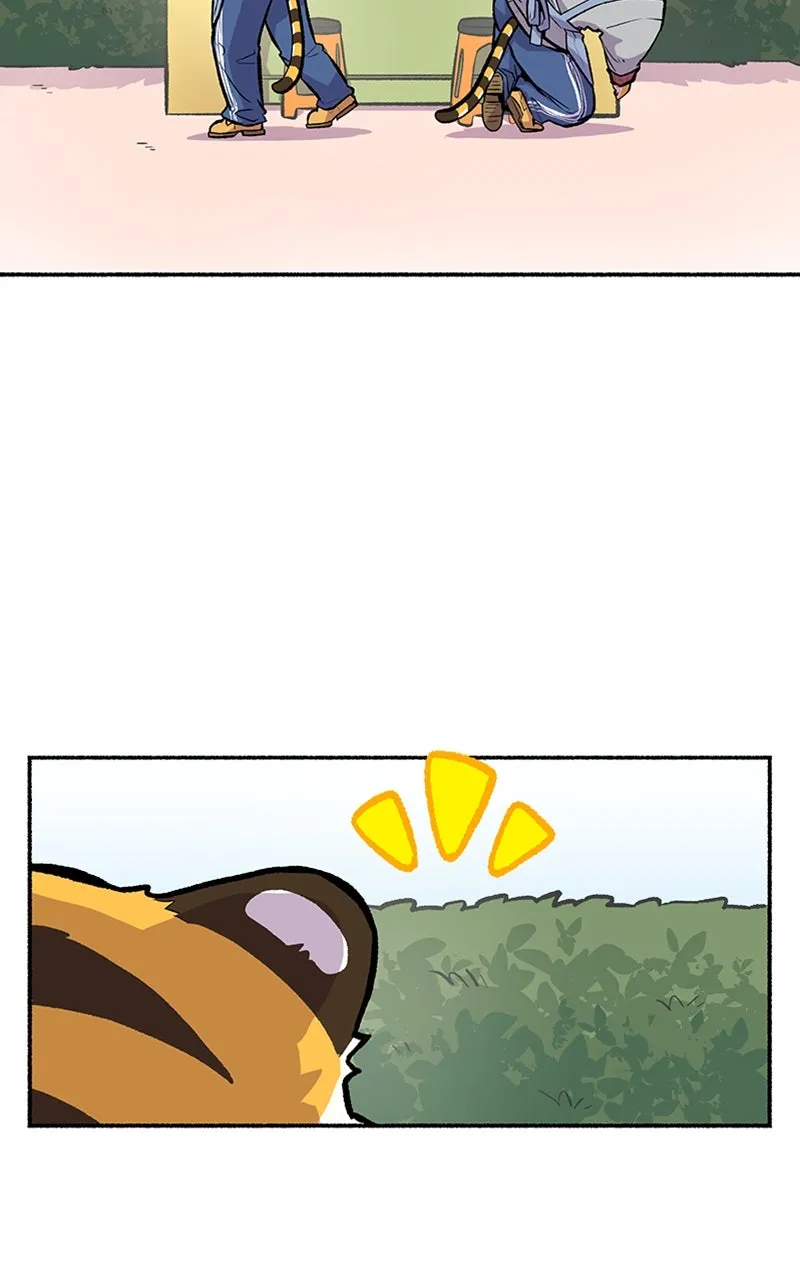 Read Mr. Tiger